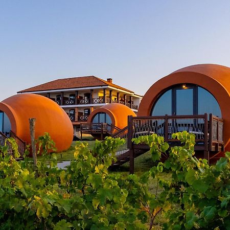 Hotel Qvevrebi เทลาวี ภายนอก รูปภาพ