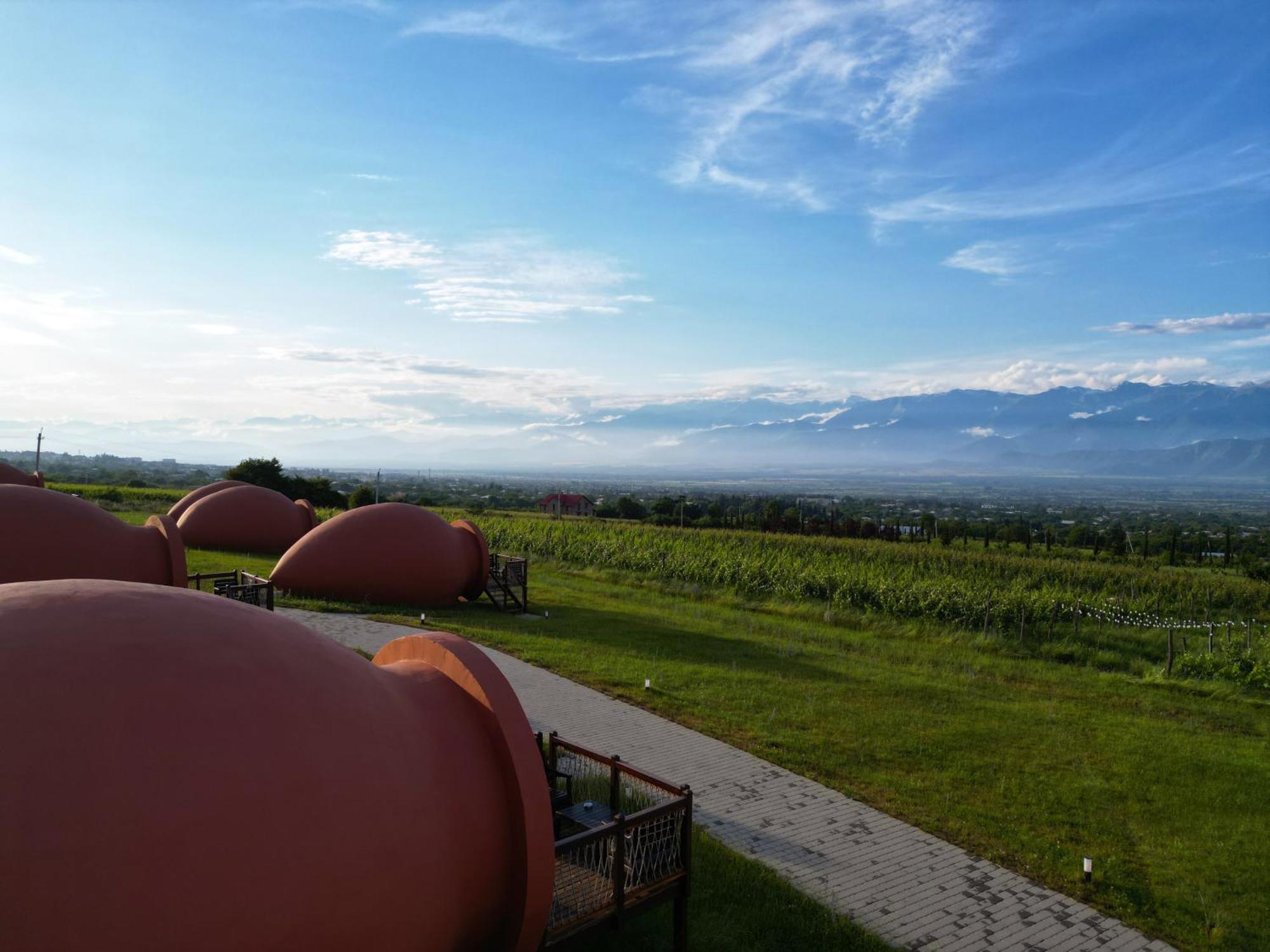 Hotel Qvevrebi เทลาวี ภายนอก รูปภาพ